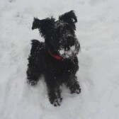 Profil proprietar